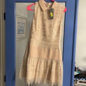 NEW WT BCBG Marsha Lace Dress, Sz 6, $298 original
